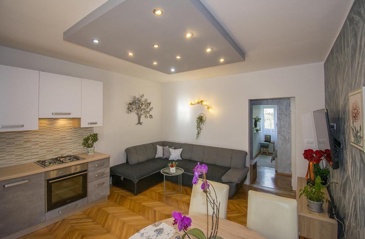 Apartment Edera, Near The Town In A Quiet Location 罗维尼 外观 照片